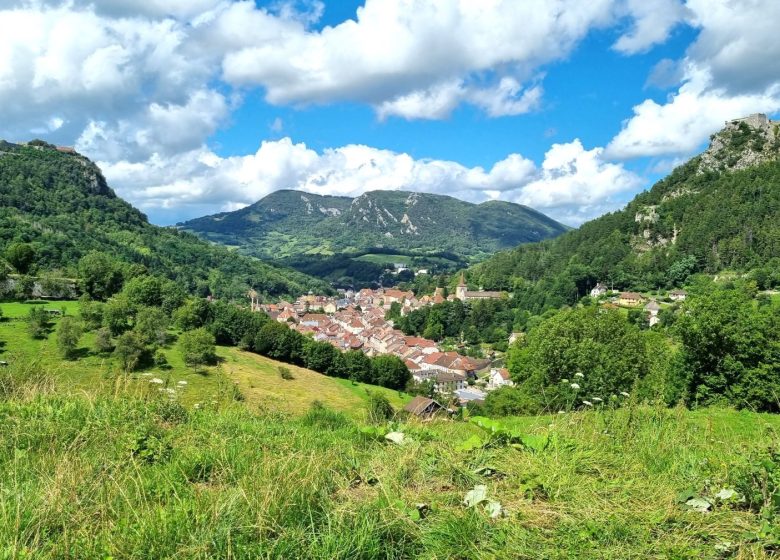 SALINS LES BAINS