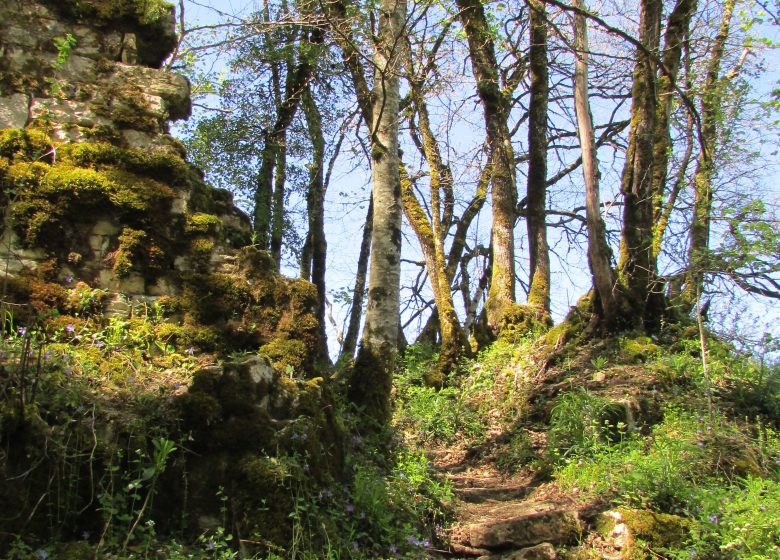 Les mystères du bourg castral de La Châtelaine