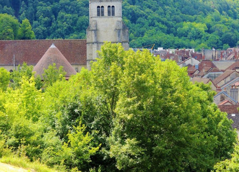 Collégiale Saint Hippolyte