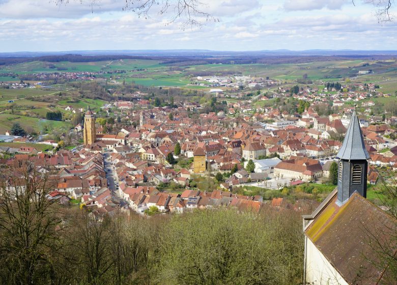 Belvedere de l’Ermitage