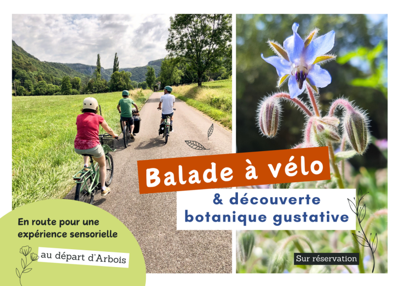 Balade à vélo & découverte botanique gustative