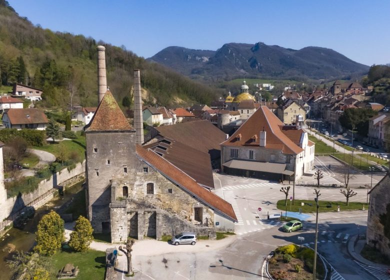 Terre de sels, les Salines en Franche-Comté au XXe siècle