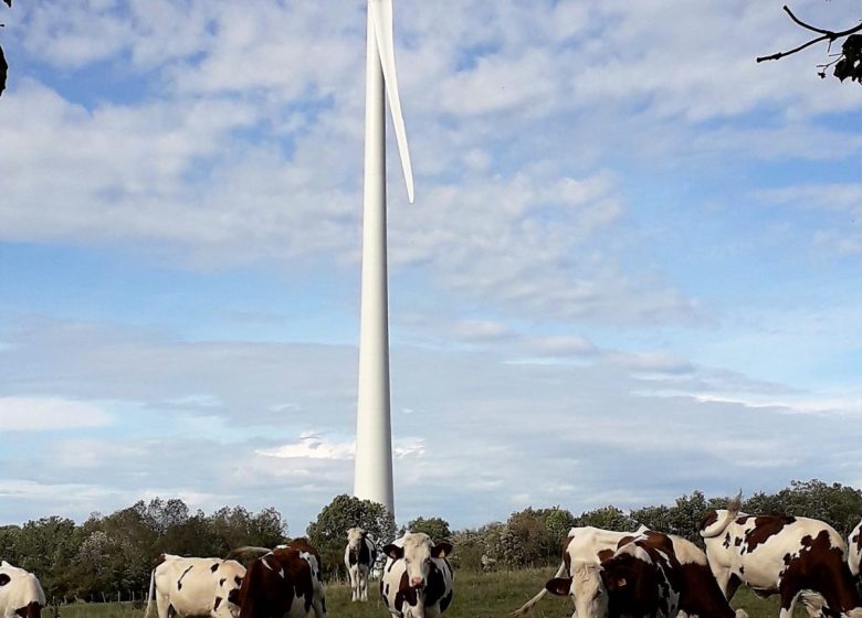 Visite guidée de l’éolienne citoyenne de Chamole