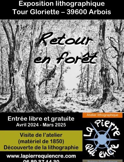 Retour en forêt