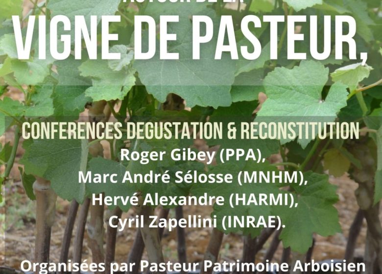 Autour de la vigne de Pasteur