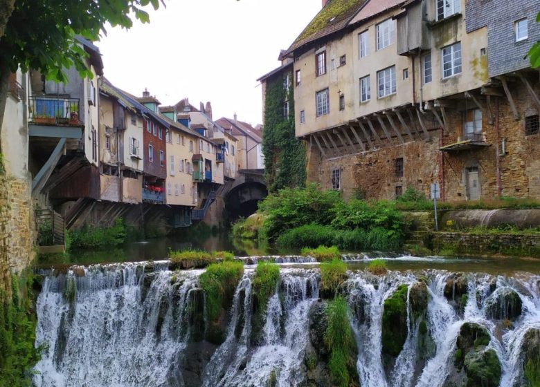 ARBOIS