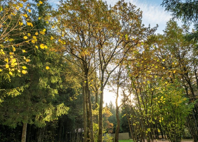 Camping de la Forêt