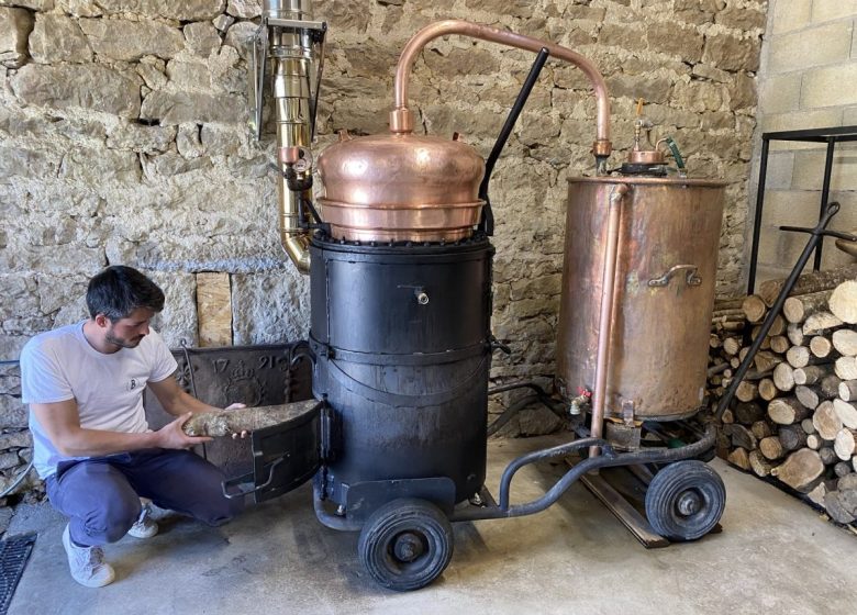 Visite de la distillerie