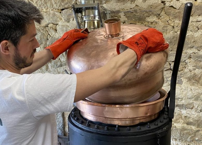 Visite de la distillerie