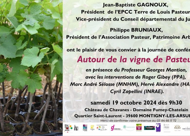 Autour de la vigne de Pasteur