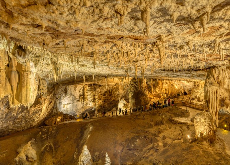 Poligny et le Comté : au coeur des traditions du Jura