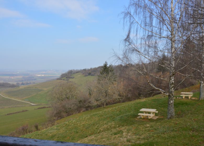 Belvedere du vignoble de Pupillin