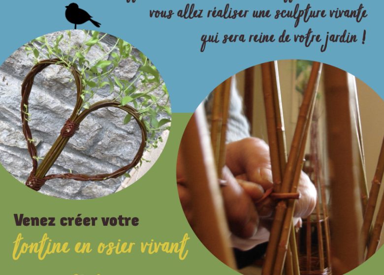 Atelier Vannerie, osier vivant