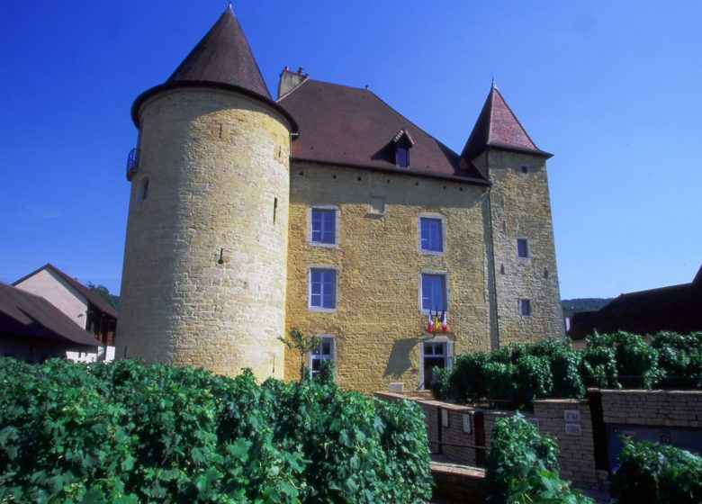 Balades entre les vignes : Arbois