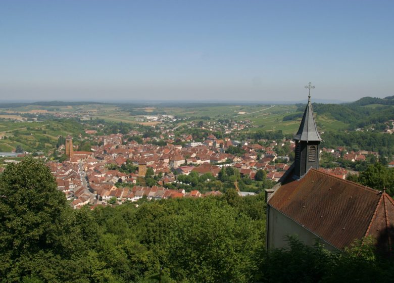 Belvedere de l’Ermitage