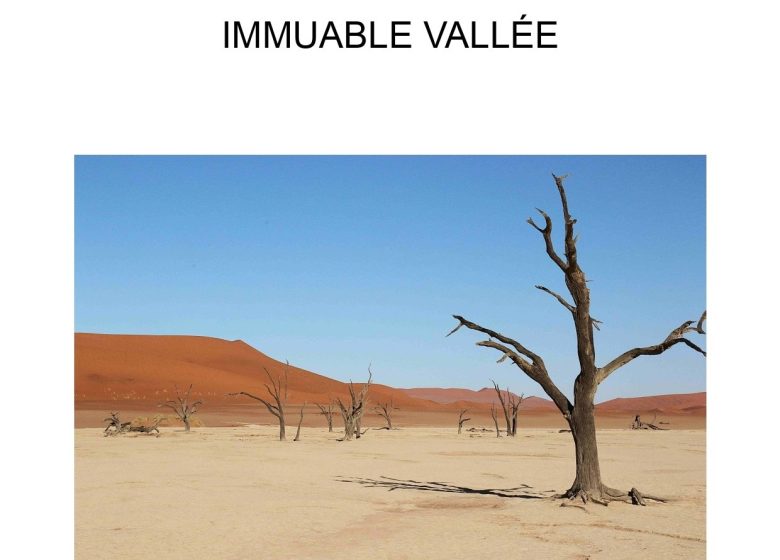 Immuable vallée